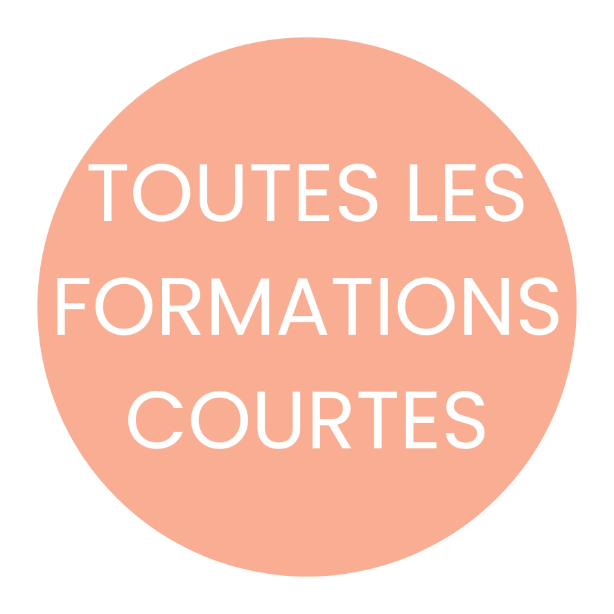 nos formations courtes institut métaphore